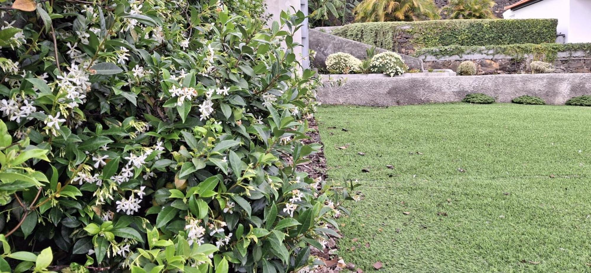 Moradia Stephanie فونشال المظهر الخارجي الصورة